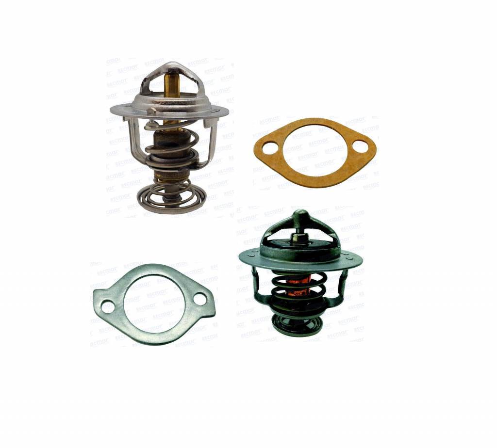 Thermostats & Thermostat Gaskets