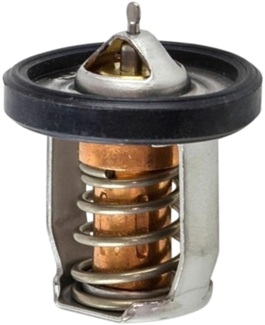 Thermostats Thermostats