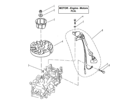 Ignitor Assembly
