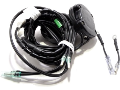 Drive / Transom Electronics