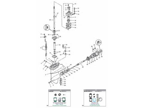 9.9 / 15 HP 2-Stroke Type C/D & 9.9 HP 4-Stroke (up to 2000)