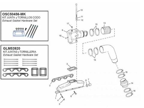 5.0L / 5.8L & 351 EFI FORD 302/351 CID V8 (since 1991)