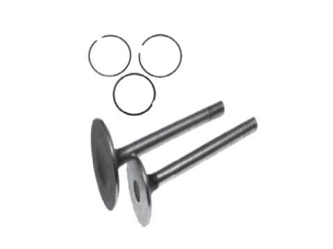 Piston Ring Kits & Intake / Exhaust Valves
