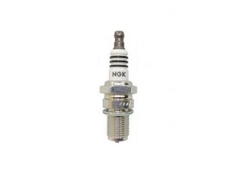 Spark Plugs