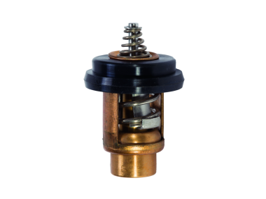 Mercury Thermostat (804540)