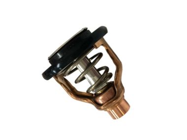 Yamaha Thermostat (6DA-12411-01)