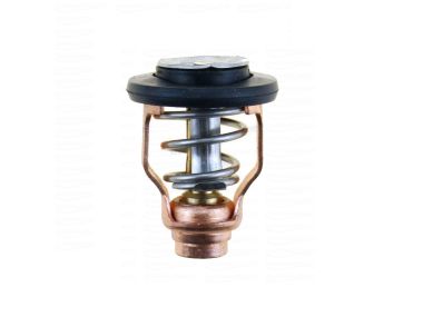 Yamaha Thermostat (6D9-12411-00)