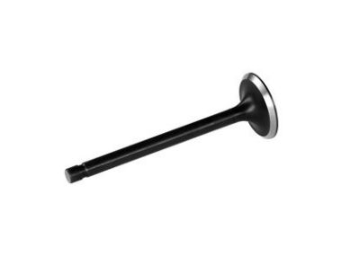 GM / MerCruiser / Volvo / OMC 4.3L, 5.7L & 6.2L Intake Valve Black X (8M0146076)