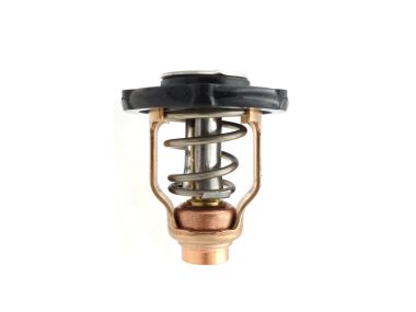 Yamaha Thermostat (6CE-12411-00)