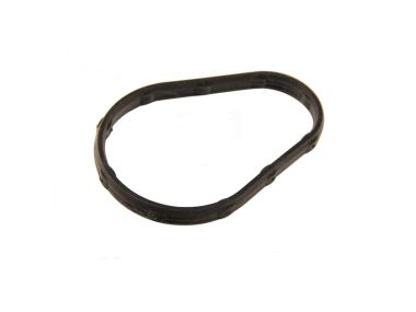 Honda 75-100HP Thermostat Cover O-Ring (19317-ZW9-000)