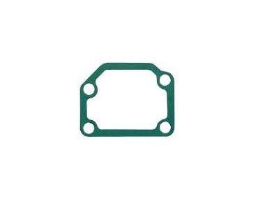 Yanmar Exhaust Gasket (128170-03070)