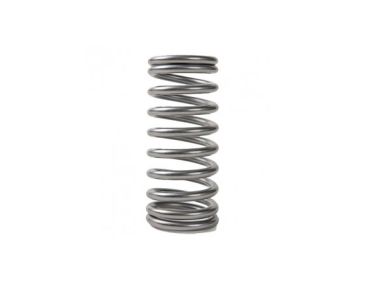 Yamaha / Mercury / Parsun Spring valve FT, F20, F25, F50, F60 (ALL) (1998-08) 51Y-12119-00	24-823678