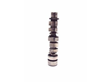 Yamaha / Mercury / Parsun Camshaft assy FT, F20, F25 (ALL) (1998-08) 65W-12171-01	2419-82500935