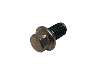 Johnson Evinrude SCREW 60 HP (341220)