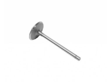 Mercruiser Intake Valve (44181A1)