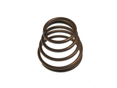 Yamaha / Parsun Conical Spring (90502-08M05)