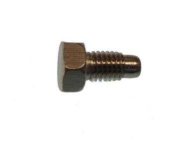 Parsun bolt (PAF6-04040009)