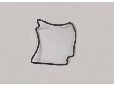 Parsun seal ring (PAF6-04060020)