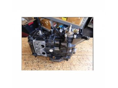 Mercury / Mariner / Parsun Engine block 8 / 9.9 / 9.8 hp 4-stroke (815013T06)