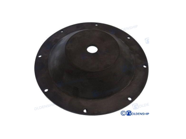 Spare membrane for GS20032