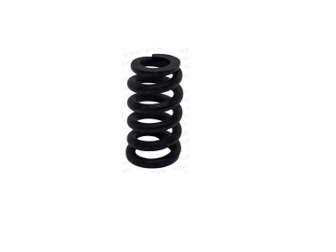 Parsun F40 SPRING (PAT40-10030001)