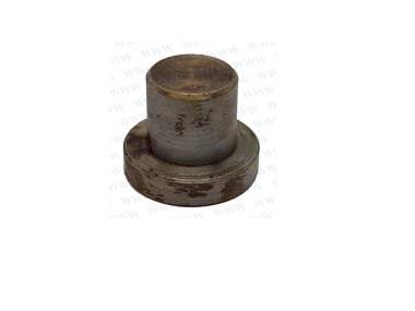 Parsun F40 SEAT, SPRING (PAT40-10020201)