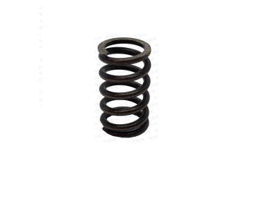 Parsun F40 SPRING  (PAT40-10020002)