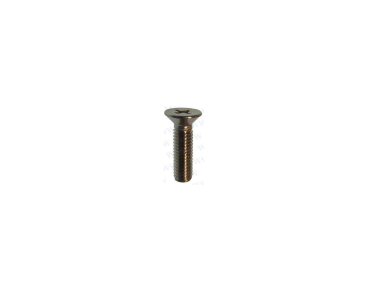 Parsun F50, F60 Screw Pan Head M5x18 (PAGB/T819.2-M5x18)