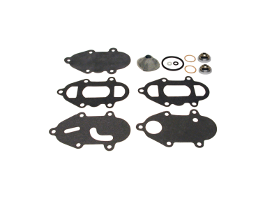 Mercury check valve kit V200 82, 83, V225 2.4L 80, 81 (GLM40230)