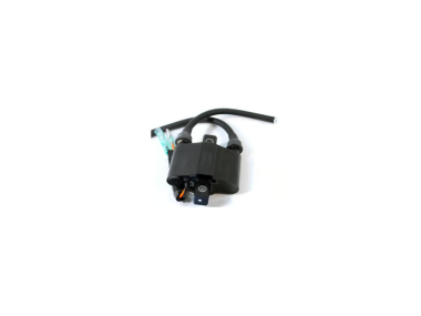 Yamaha Ignition Coil Assy (680-85570-02-00)