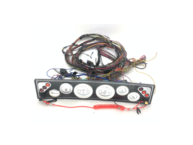 USED: Complete Gauge dashboard Renken