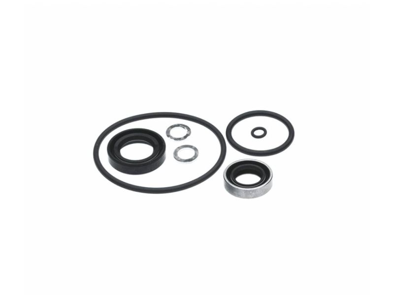 Gearcase Seal Kit 40 HP Electric Shift (GLM87621)